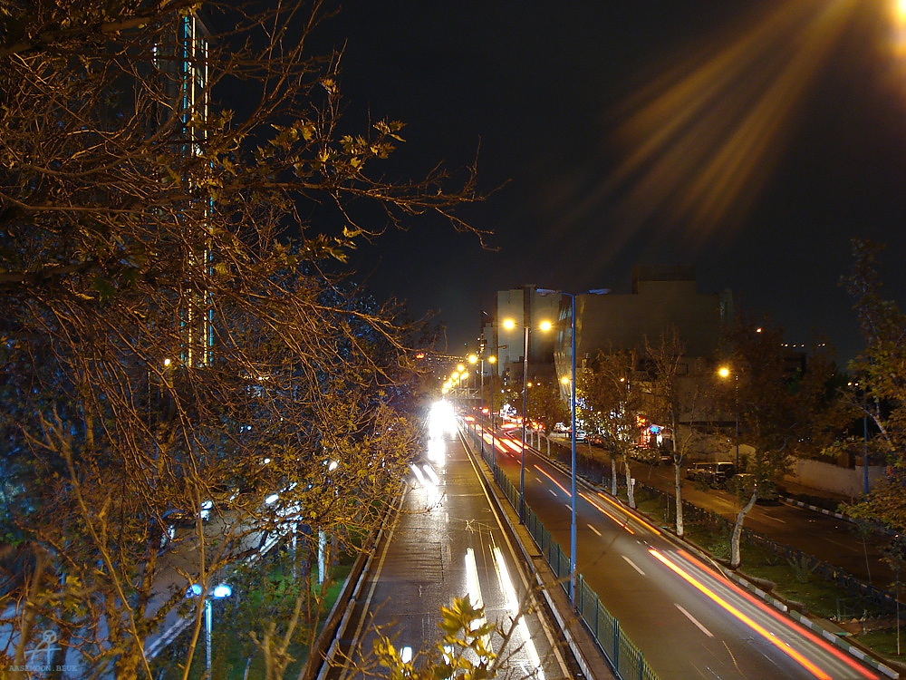 DSC02871