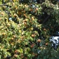 DSC03520