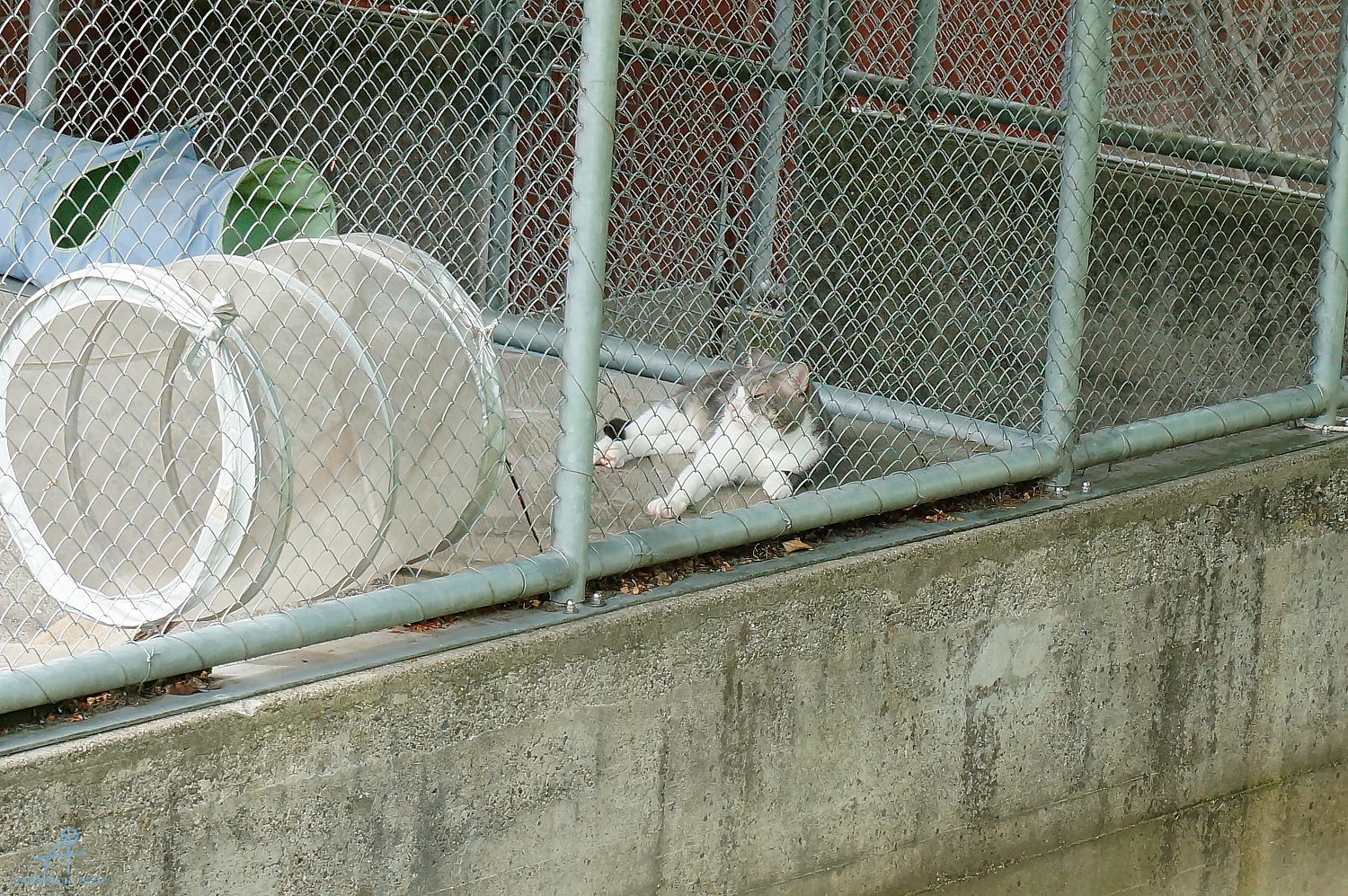 DSC05890