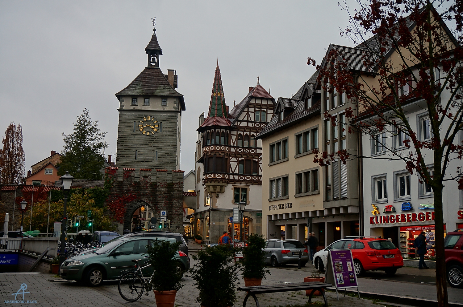 DSC03353