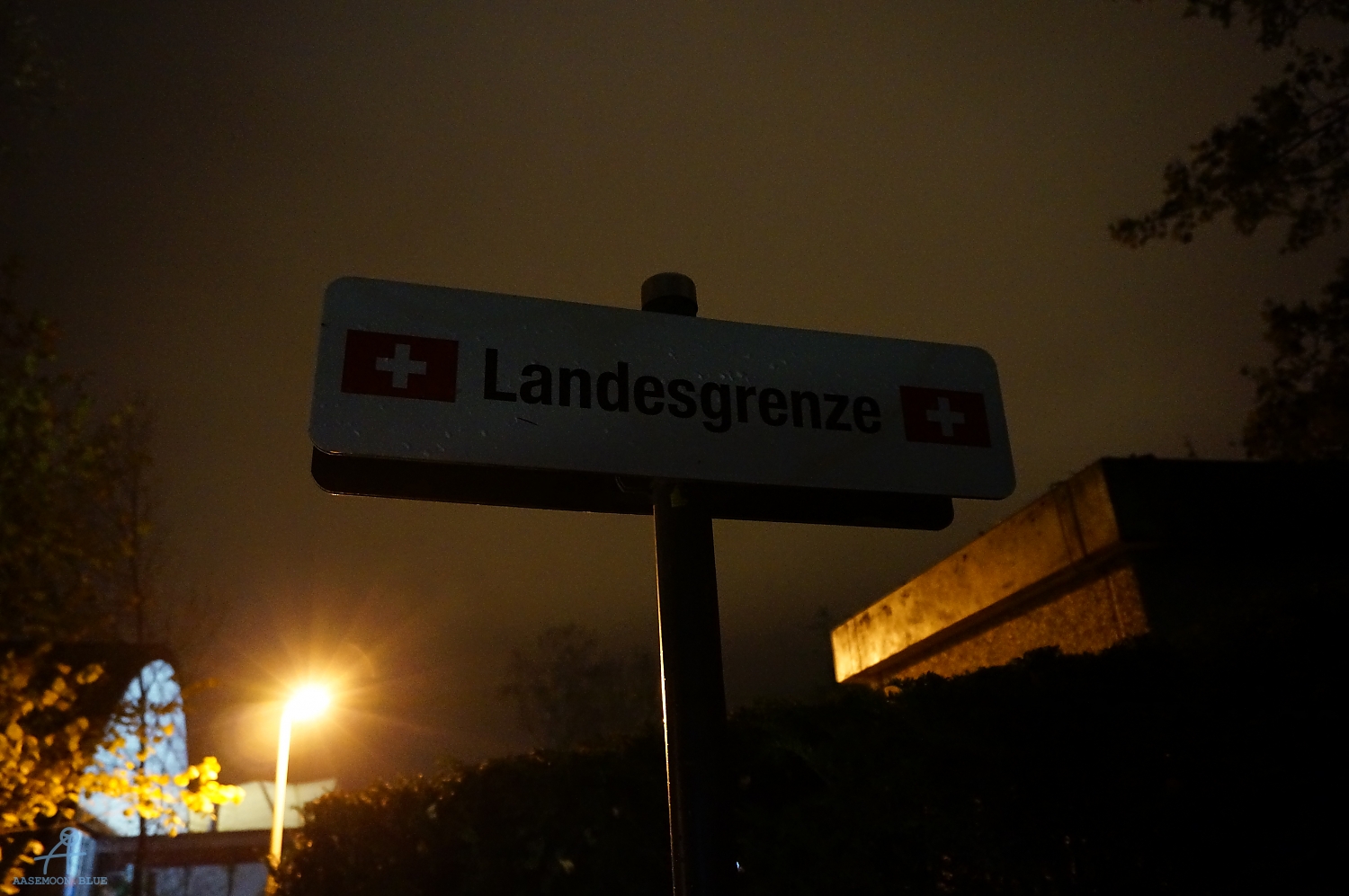 DSC03366