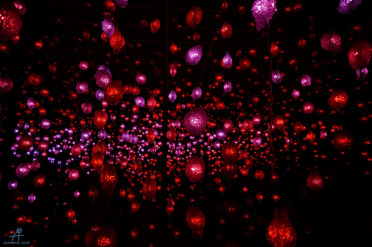 DSC09483