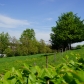 DSC02820
