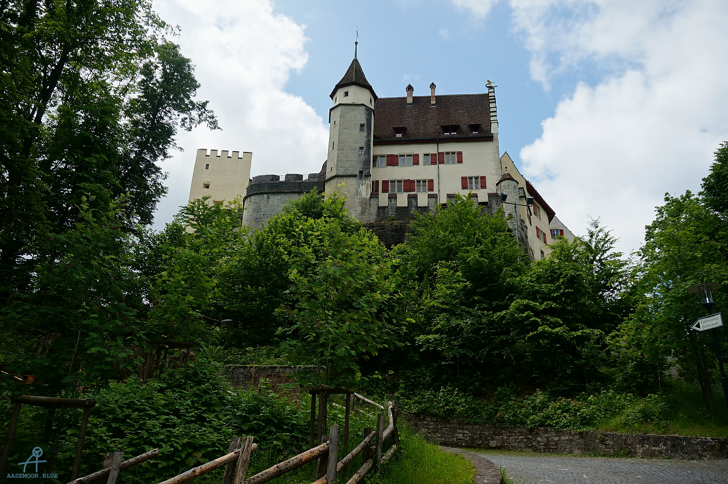 DSC08856