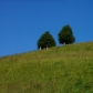 DSC09083