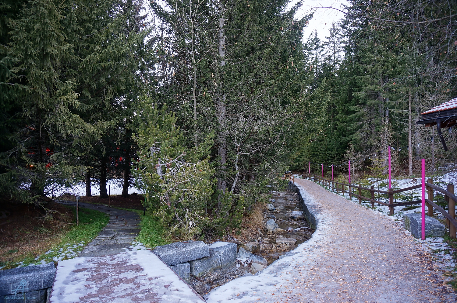DSC04609