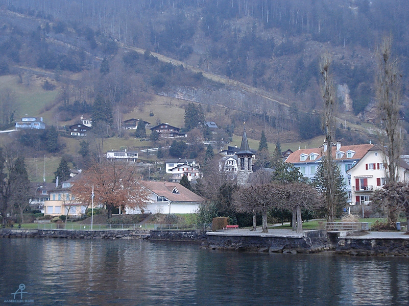 DSC00921
