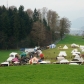 DSC09785
