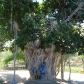 DSC04277