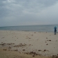 DSC05174