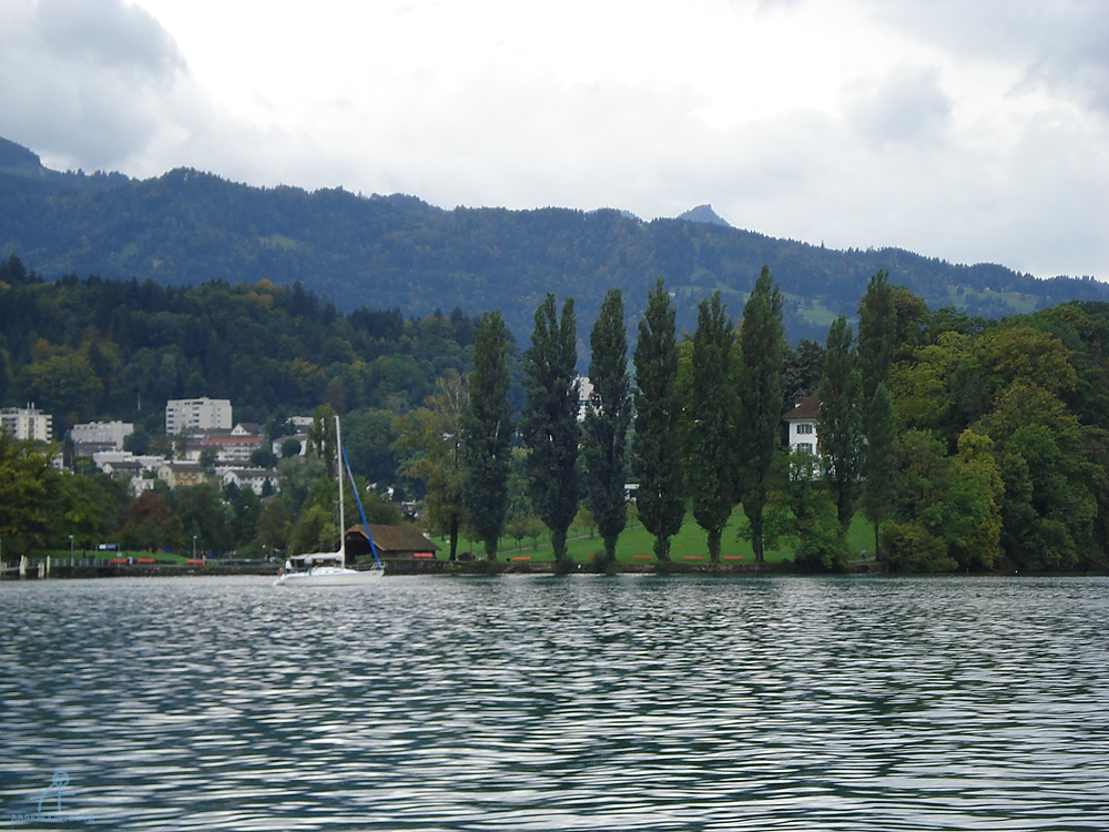 DSC07601