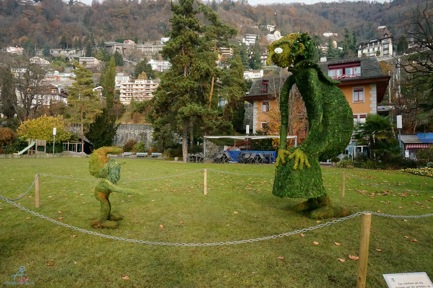 DSC04553