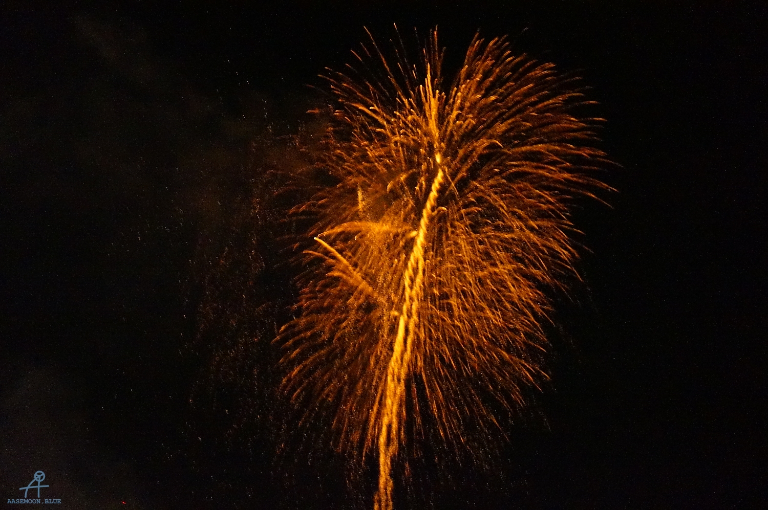 DSC05705