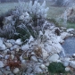 DSC00537