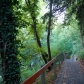 DSC00319