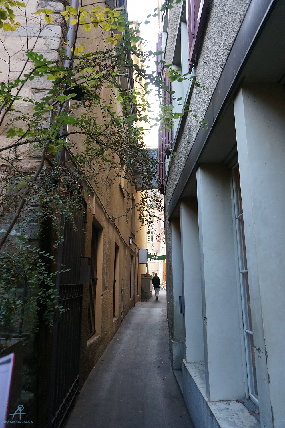 DSC02199