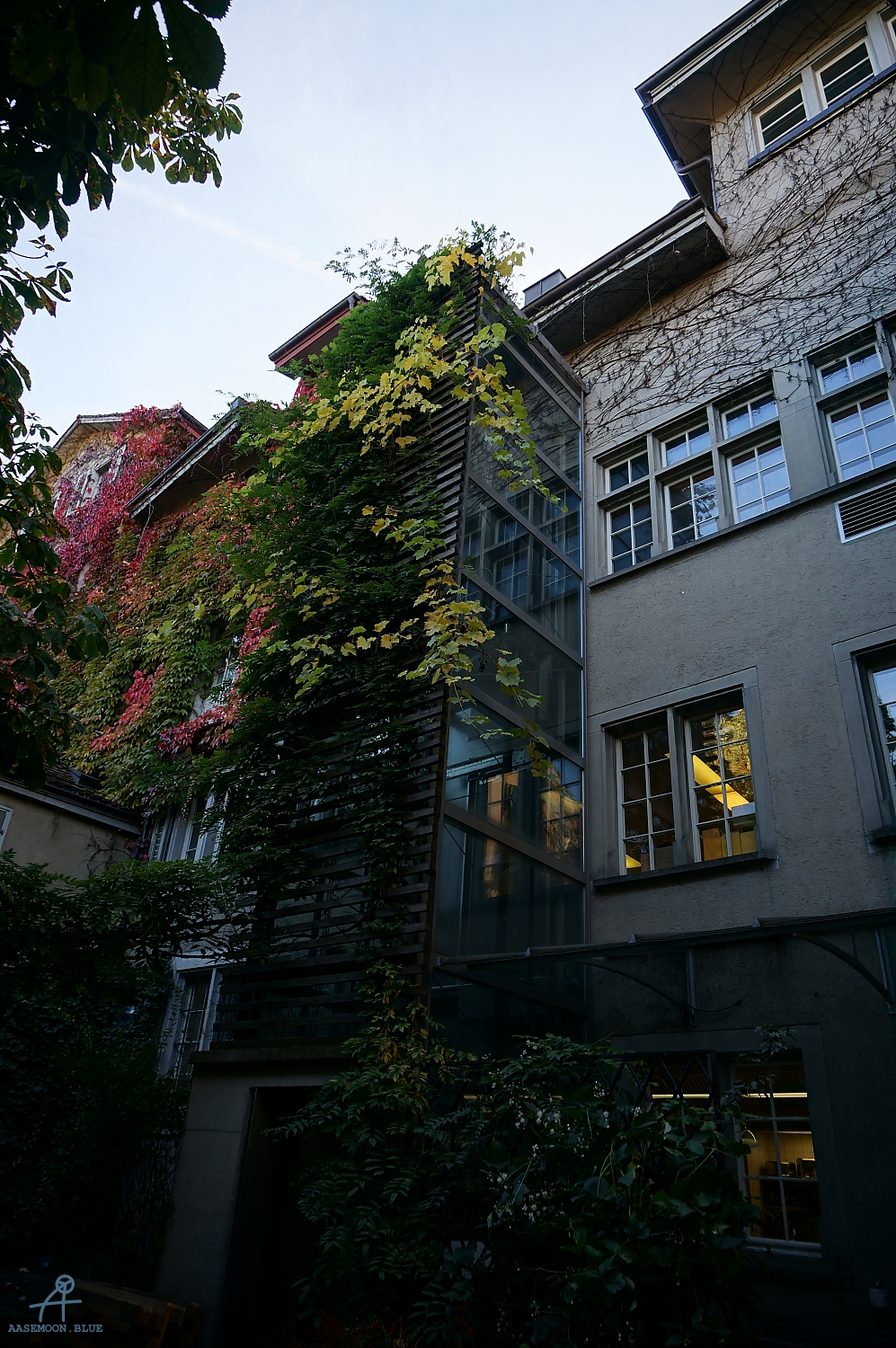 DSC02203