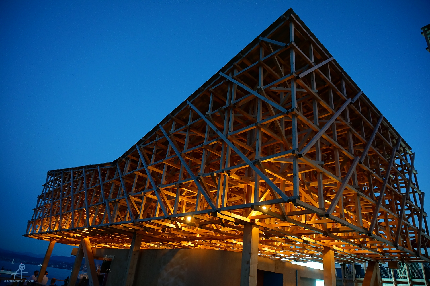 DSC00324