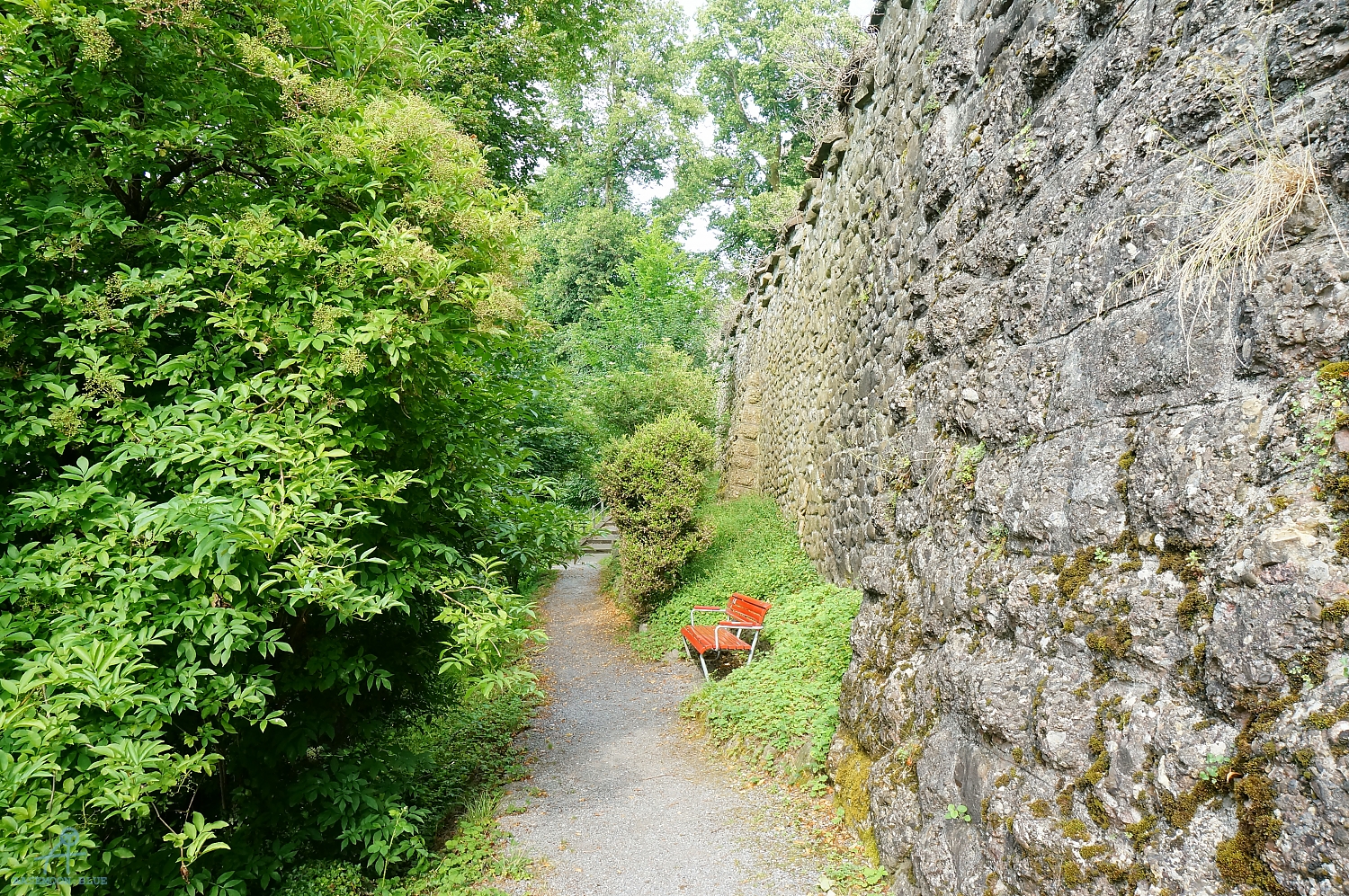 DSC06871