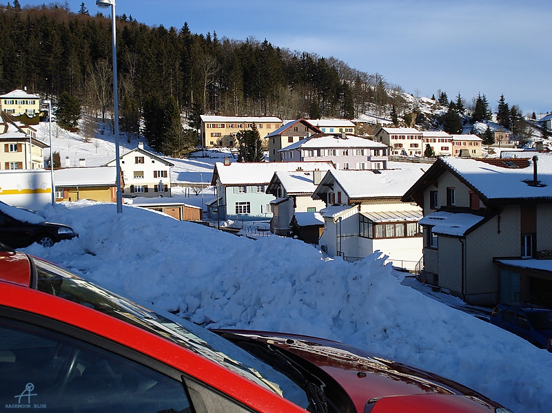 DSC00639