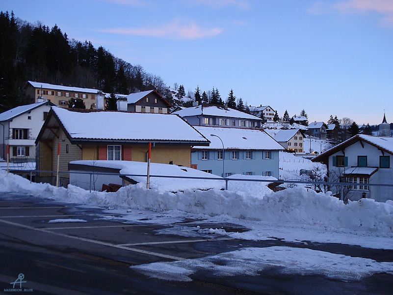 DSC00641