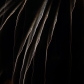 DSC00661