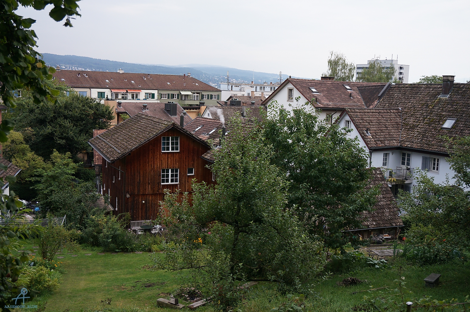 DSC00812
