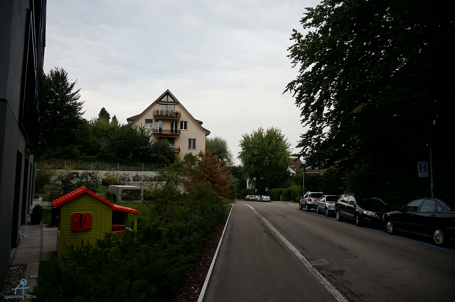 DSC00813