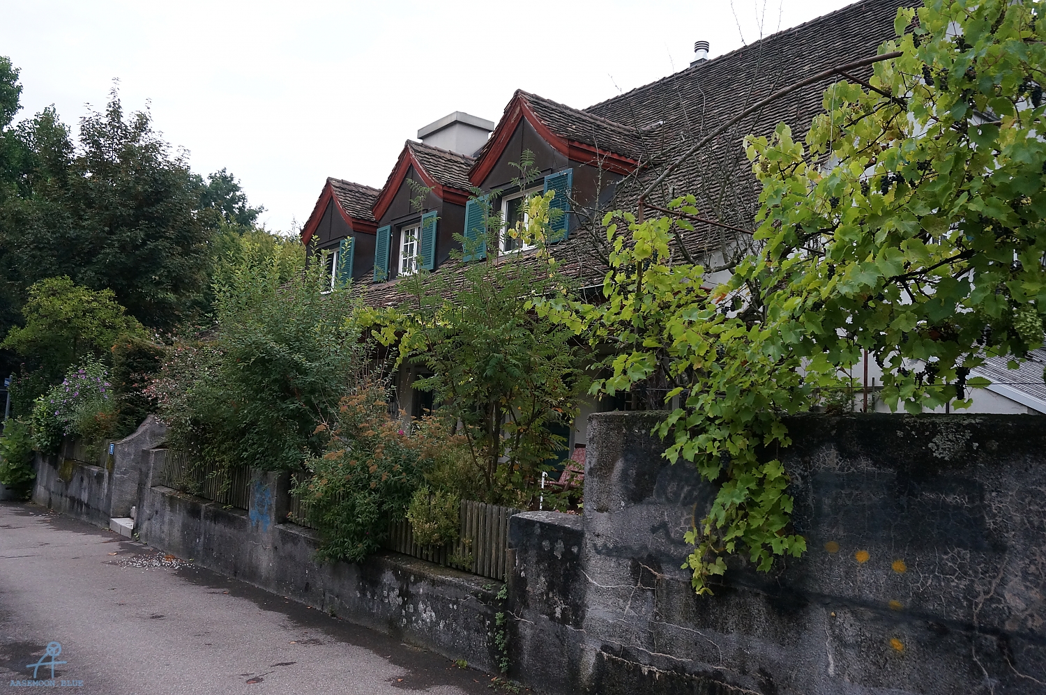 DSC00820