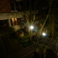 DSC09268