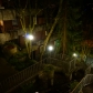 DSC09270