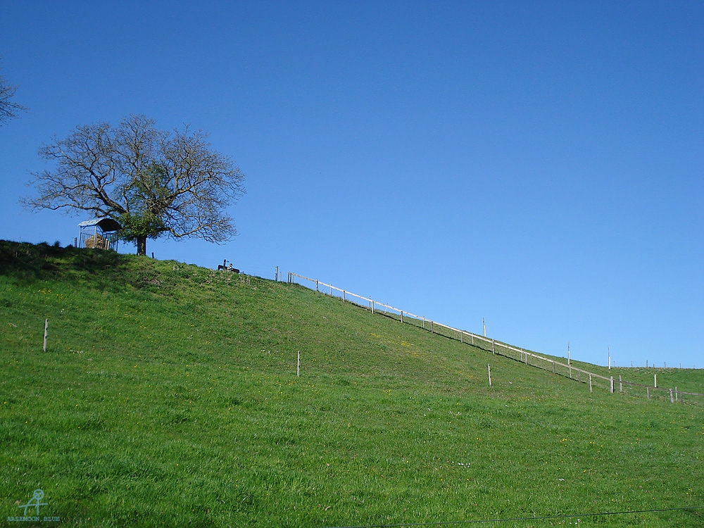 DSC06855