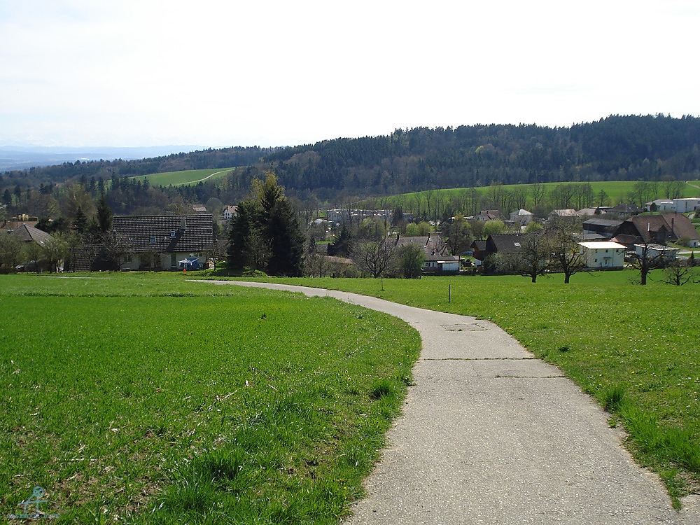 DSC06882
