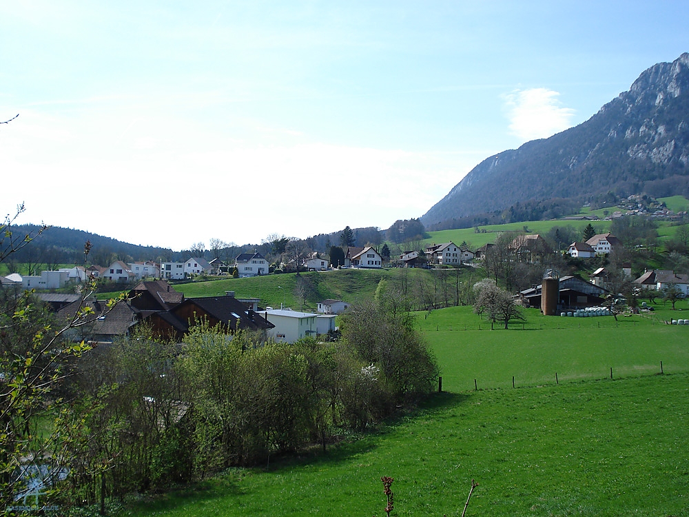 DSC06892