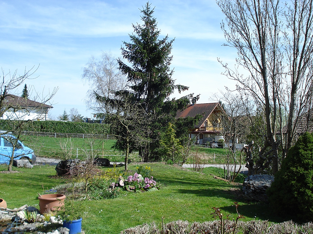 DSC06900
