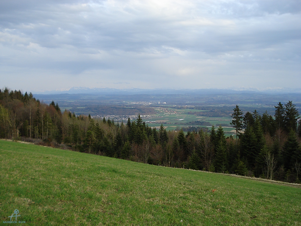 DSC06929