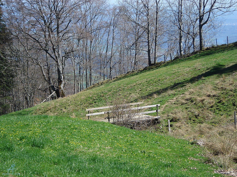 DSC06952