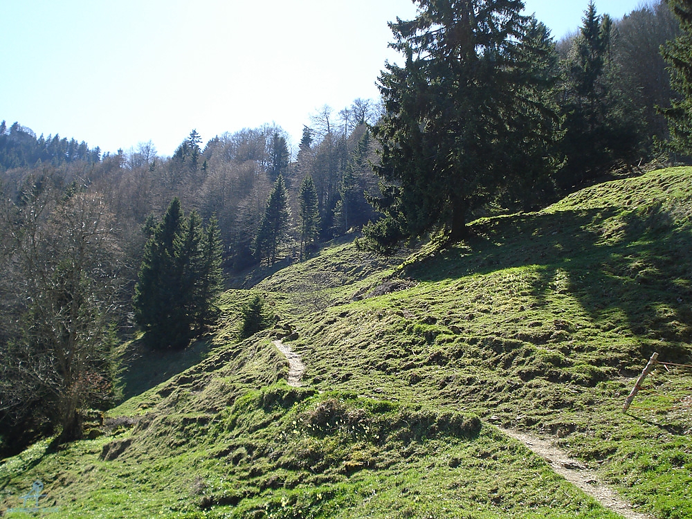 DSC06961