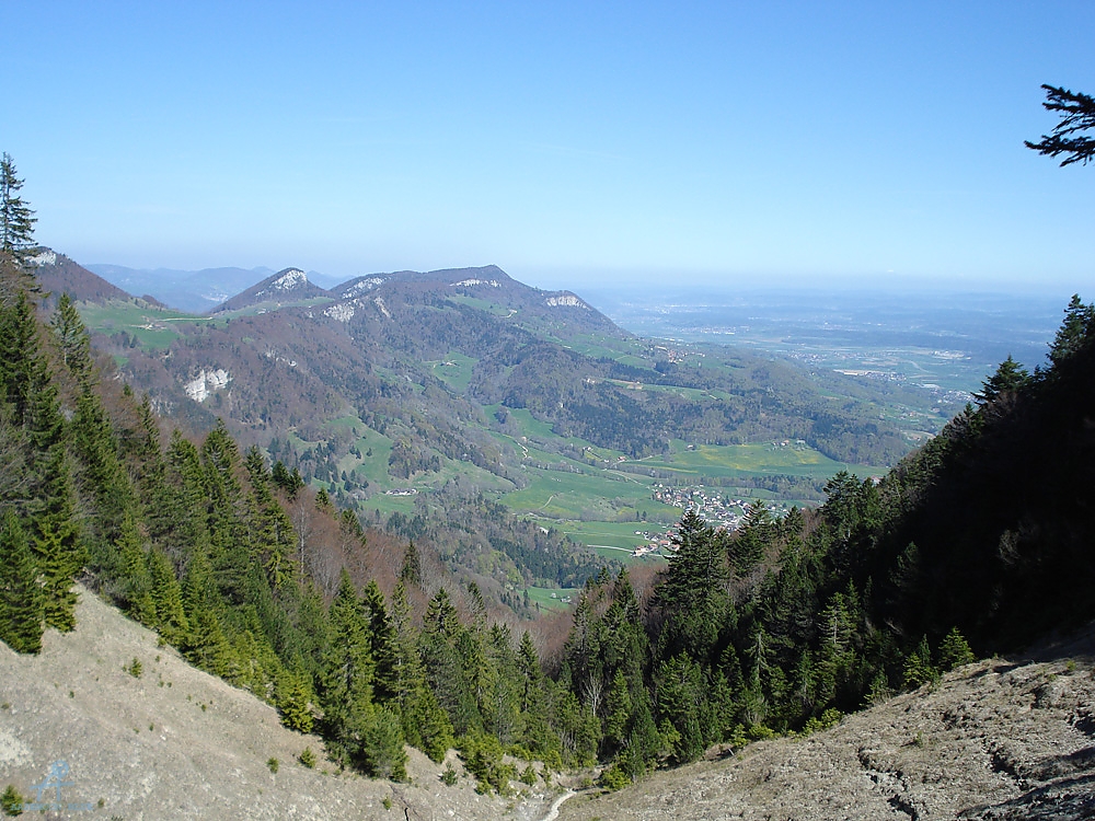 DSC06998