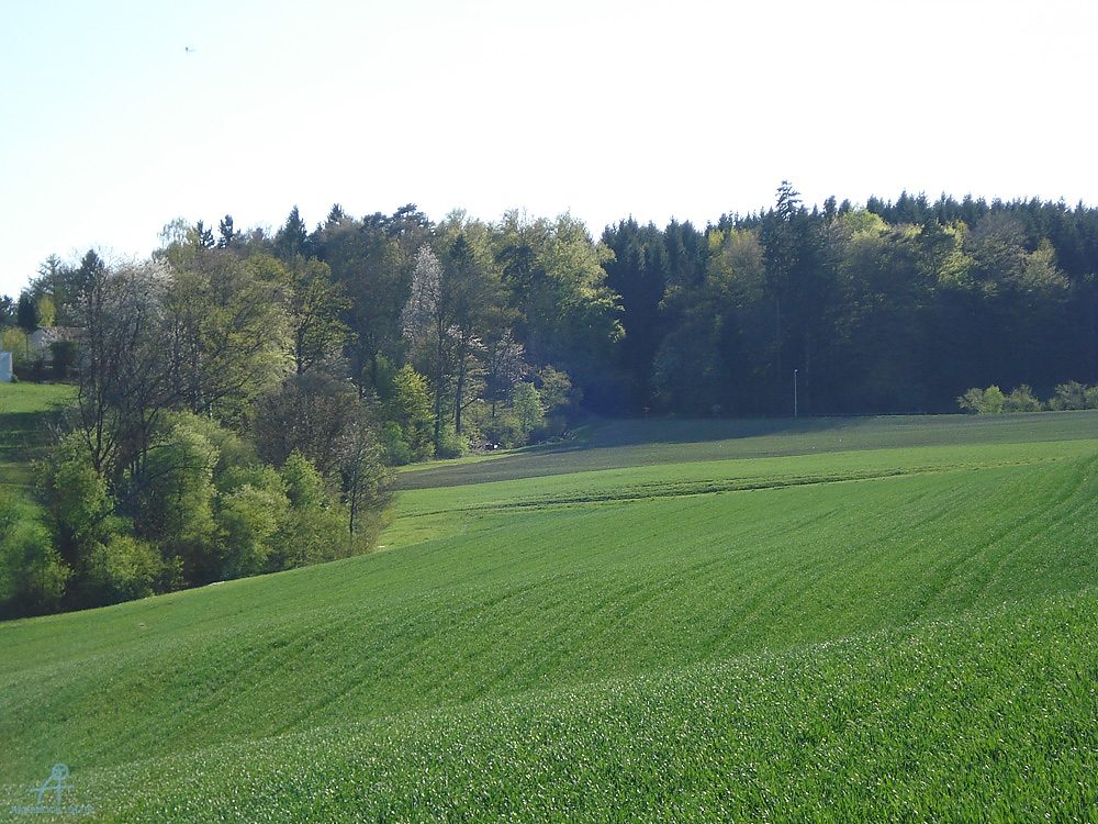 DSC07027