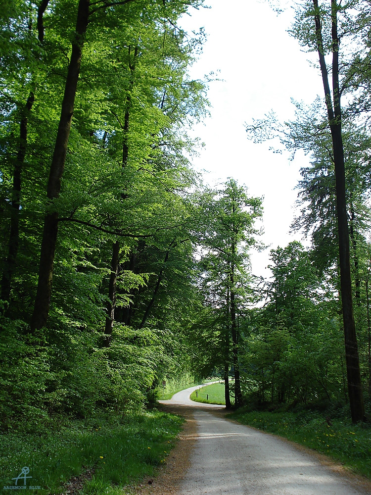 DSC07090