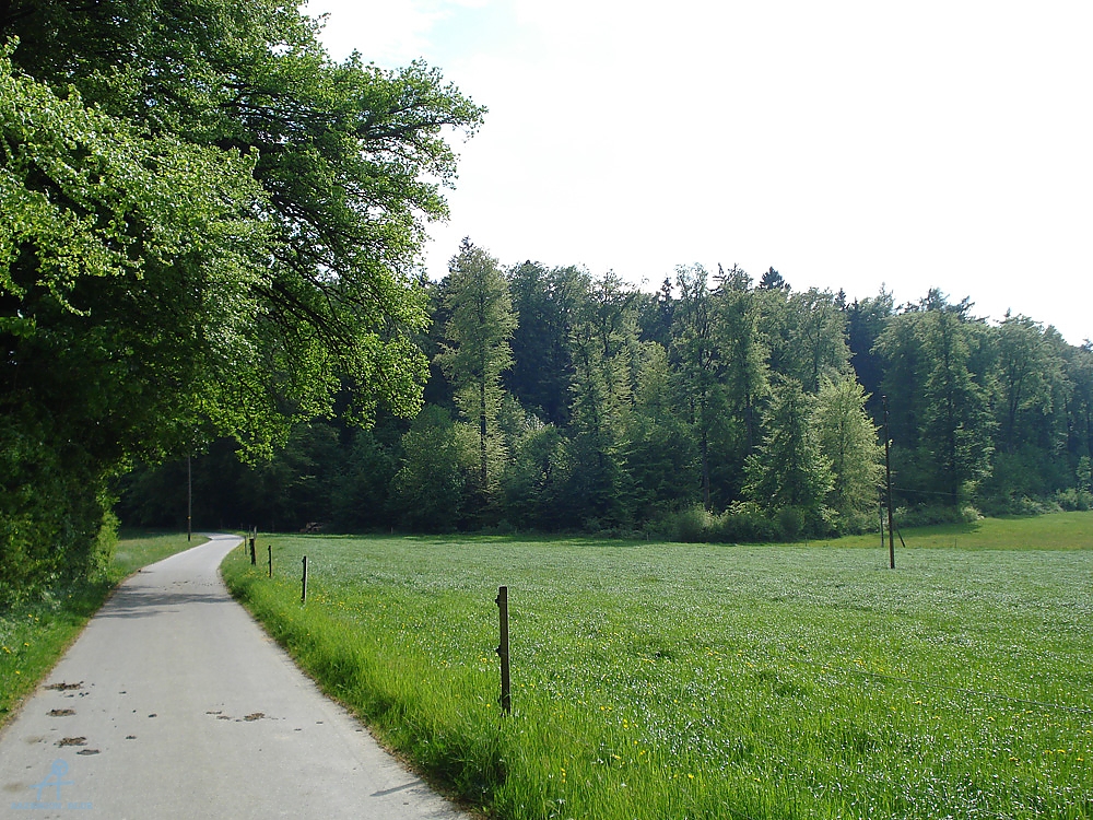 DSC07094