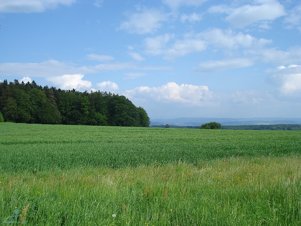 DSC07095