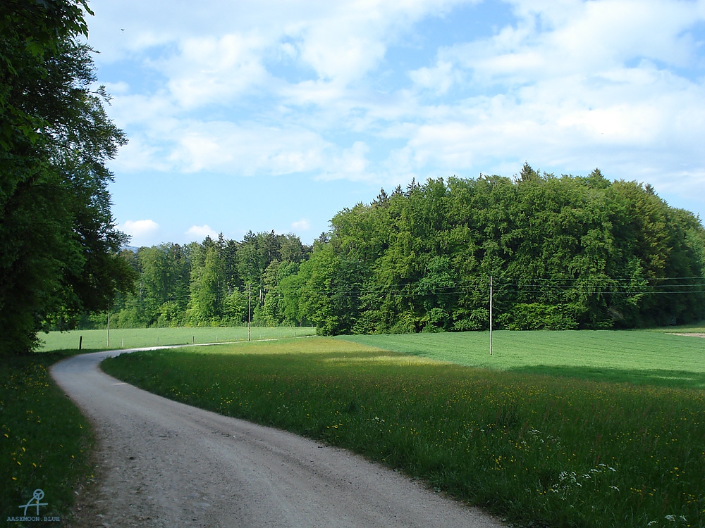 DSC07099