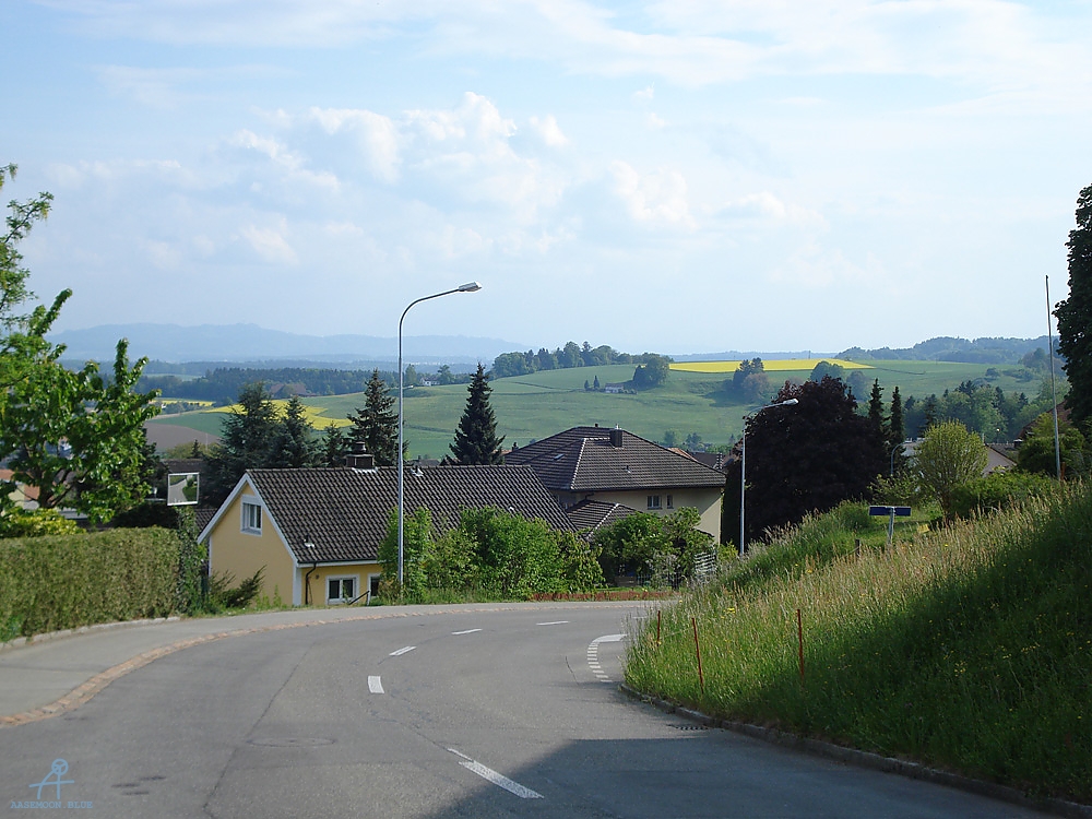 DSC07101