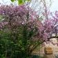 DSC00138