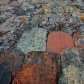 DSC07900