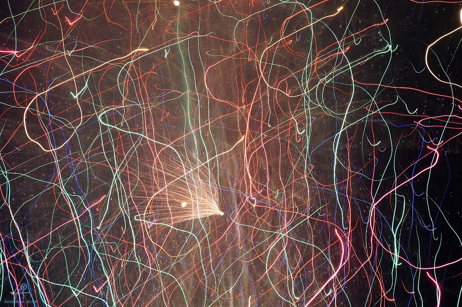 DSC07981