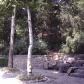 Tehran (68)