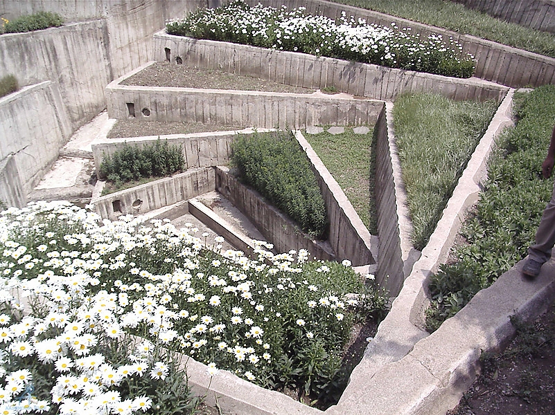 Tehran (84)
